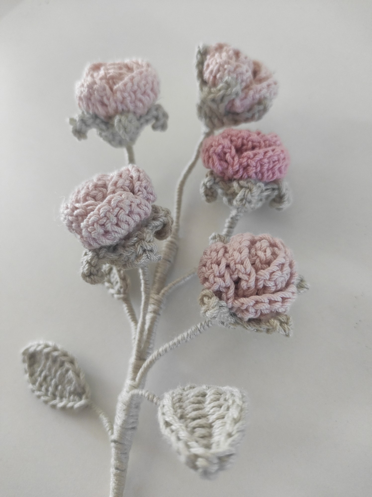 Rositas Silvestres - Imagen 2