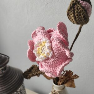 Amapola Rosa