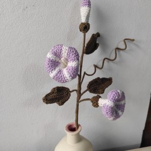 Vara de Ipomeas